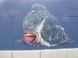 Tauben füttern verboten - ein wenig beängstigend, das Frankfurter Federvieh... Frankfurt am Main