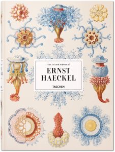  Kunst und Wissenschaft Ernst Haeckels || Hrsg.: Rainer Willmann, Julia Voss